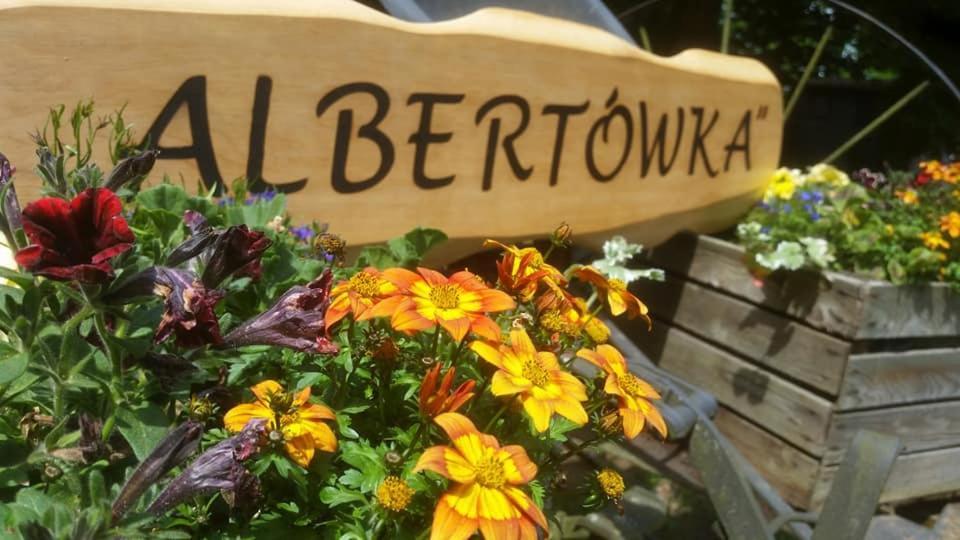 Albertowka Trzciel Luaran gambar